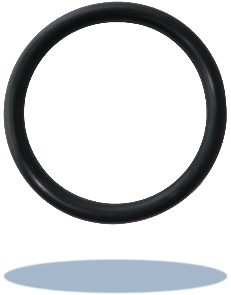 Ｏ型環